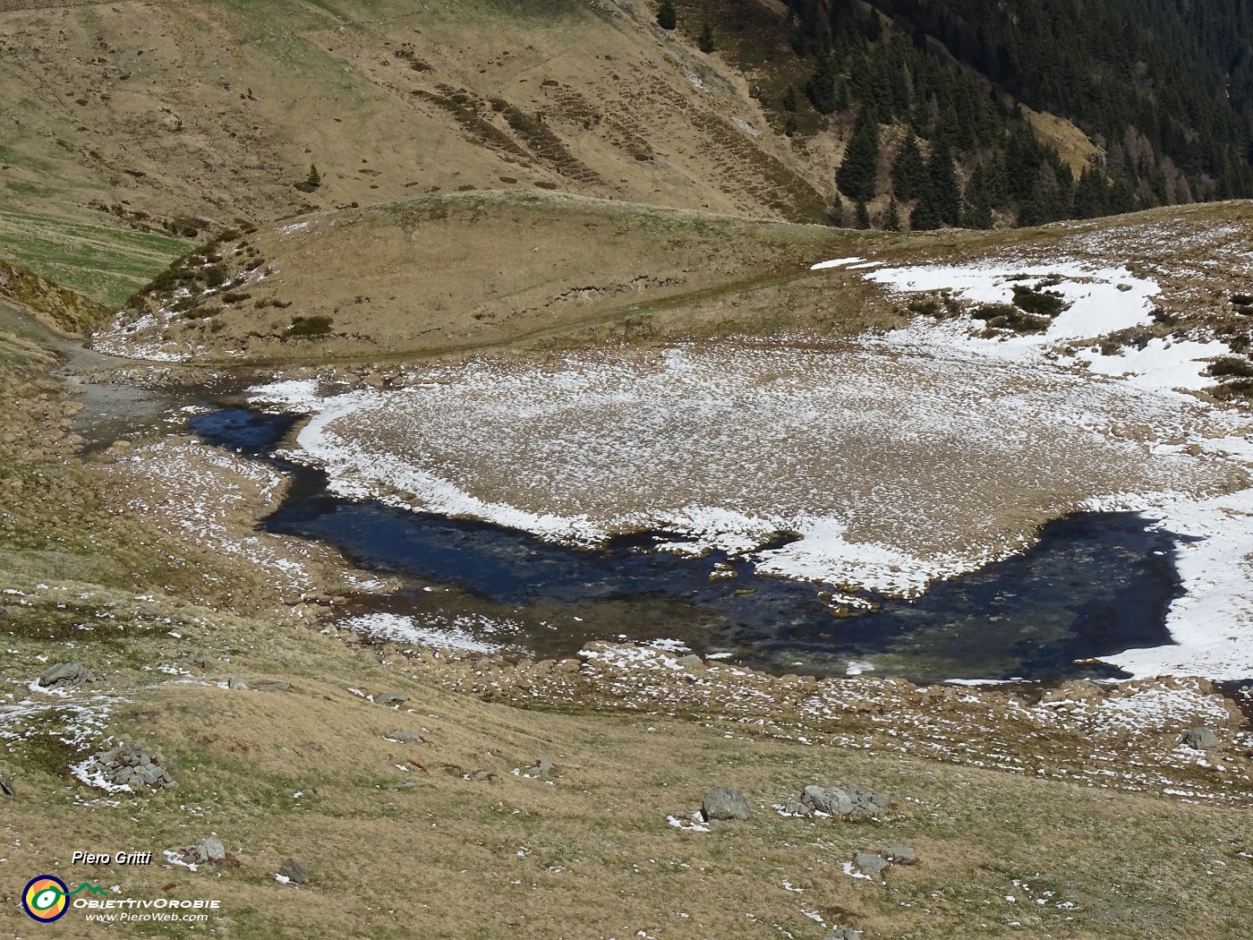 57 Ecco un bel laghetto in avanzato disgelo con pascoli che stanno rinverdendo cosparsi di Crocus vernus .JPG